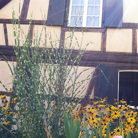 Chambres D'Hotes La Stoob Strasbourg Sud Illkirch-Graffenstaden Dış mekan fotoğraf